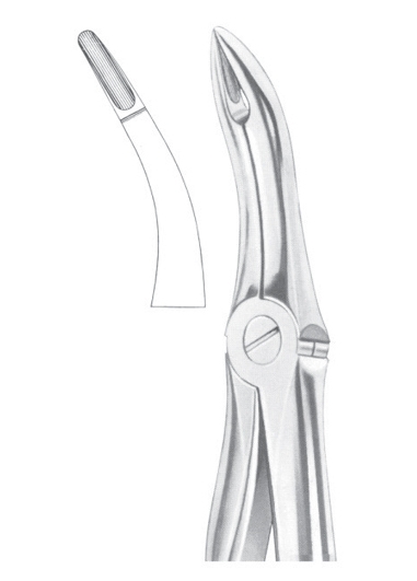 Extracting Forceps English Pattern