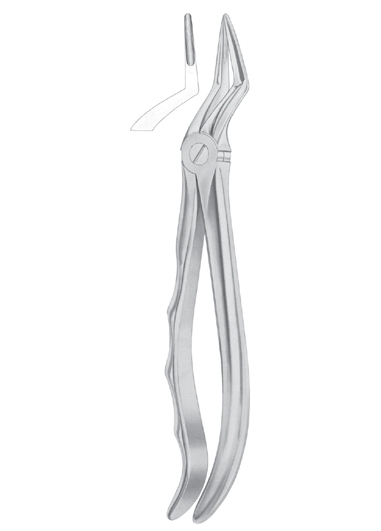Extracting Forceps English Pattern