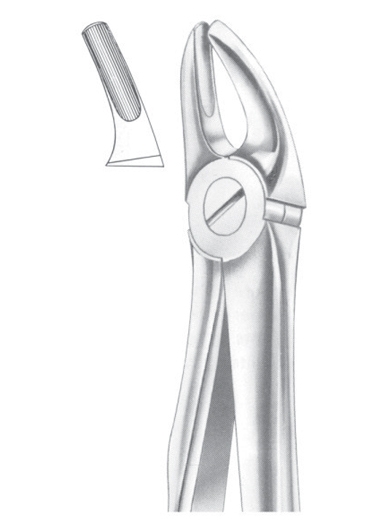 Extracting Forceps English Pattern