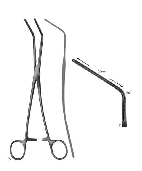 Cardiovascular and Thoracic Surgery