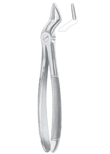 Extracting Forceps