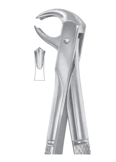 Extracting Forceps