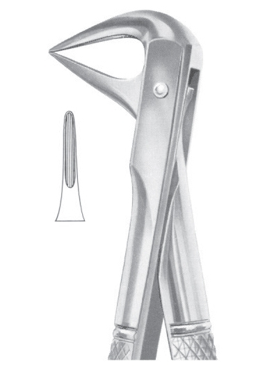 Extracting Forceps