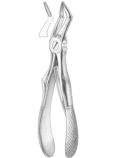 Extracting Forceps English Pattern