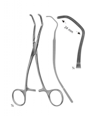 Cardiovascular and Thoracic Surgery