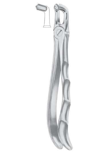 Extracting Forceps English Pattern