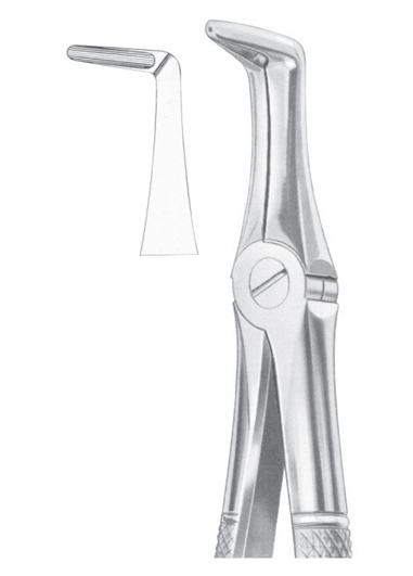 Extracting Forceps