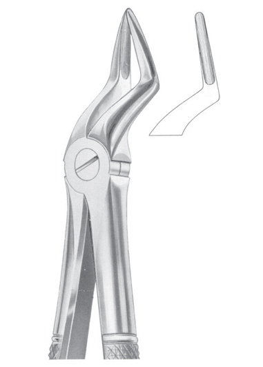 Extracting Forceps