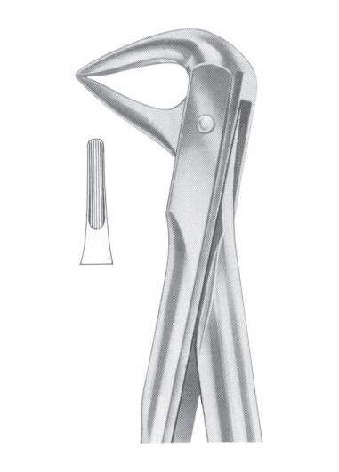 Extracting Forceps English Pattern