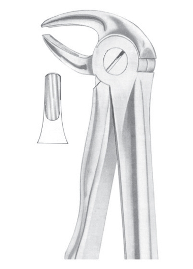Extracting Forceps English Pattern