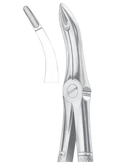Extracting Forceps