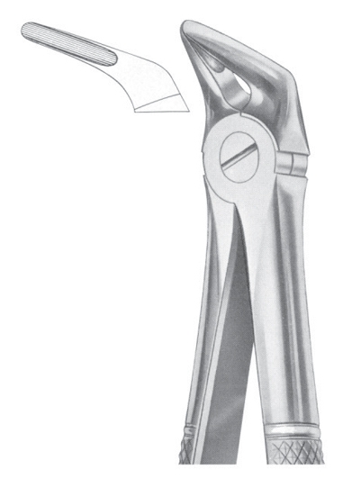 Extracting Forceps