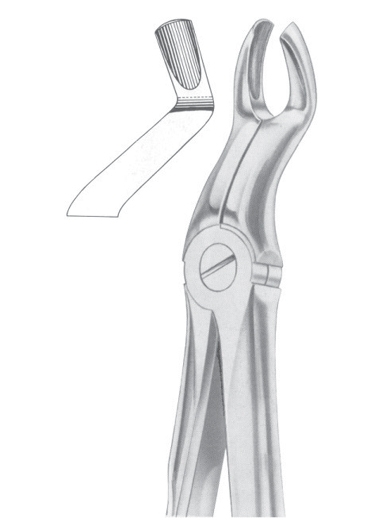 Extracting Forceps English Pattern
