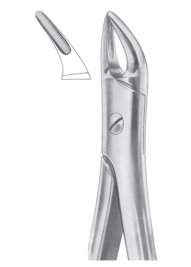 Extracting Forceps English Pattern