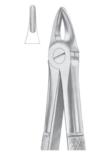 Extracting Forceps