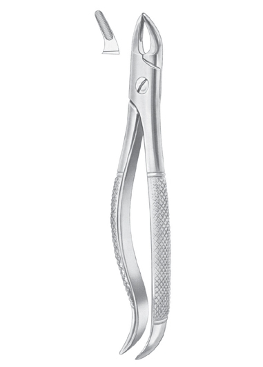Extracting Forceps
