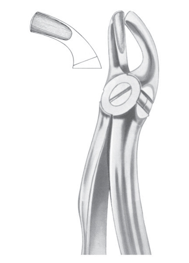 Extracting Forceps English Pattern