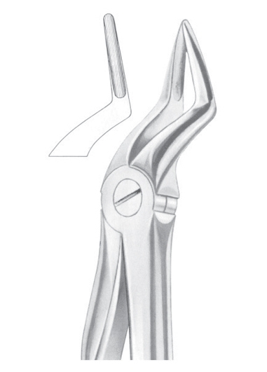 Extracting Forceps English Pattern