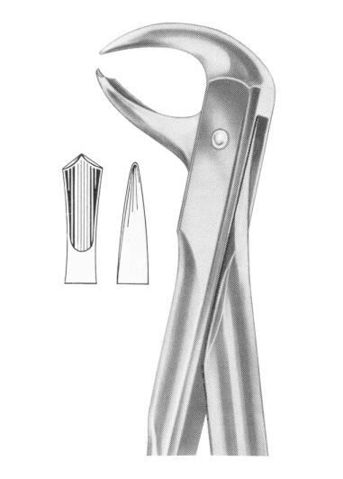 Extracting Forceps English Pattern