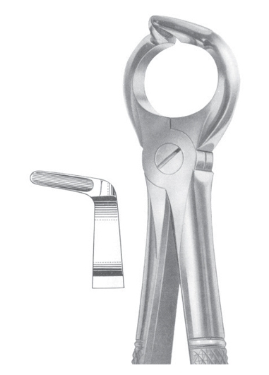 Extracting Forceps