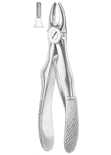 Extracting Forceps English Pattern