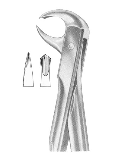 Extracting Forceps English Pattern