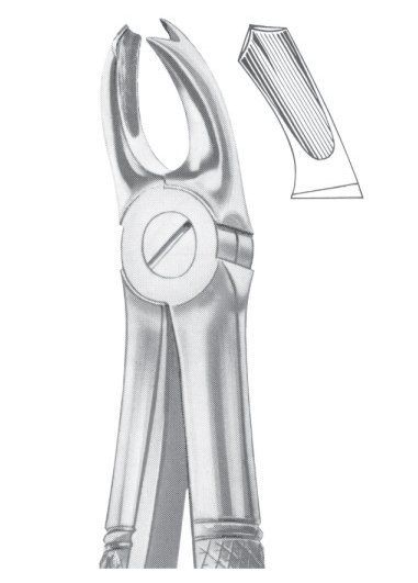 Extracting Forceps