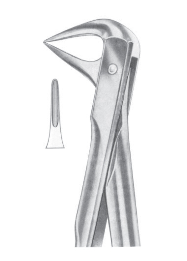 Extracting Forceps English Pattern