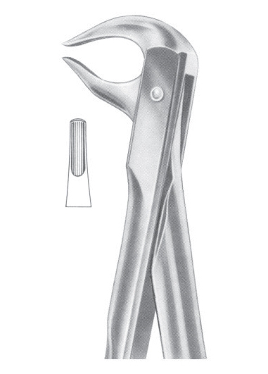 Extracting Forceps English Pattern